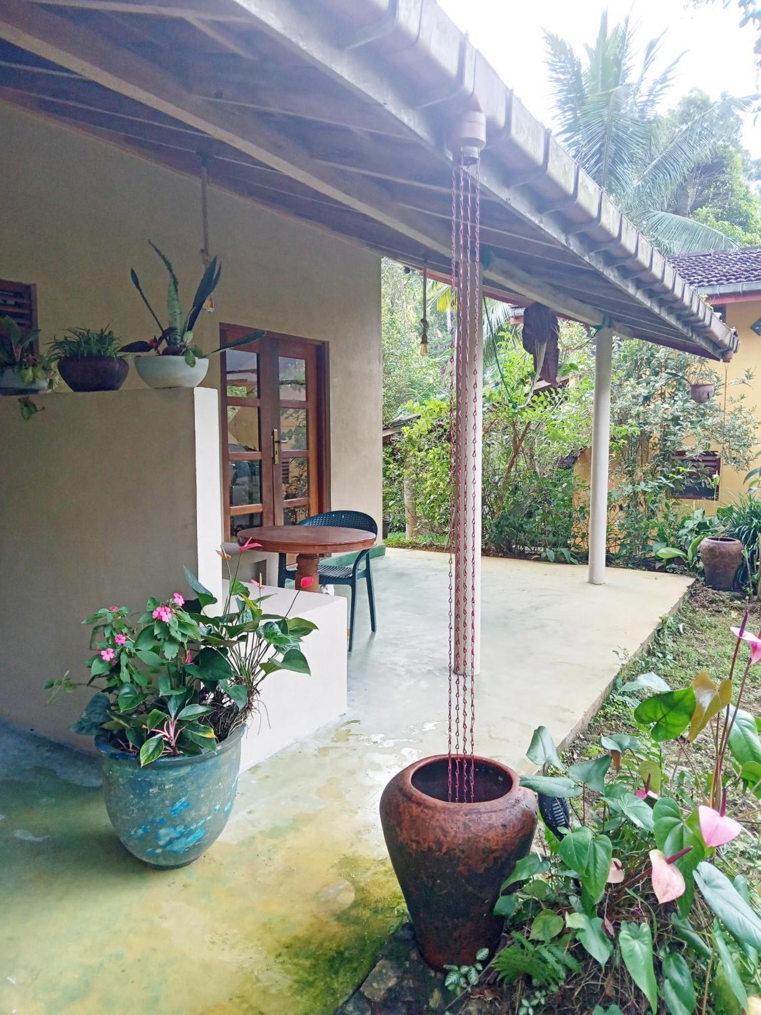 Natural Mystic Sanctuary Lodge