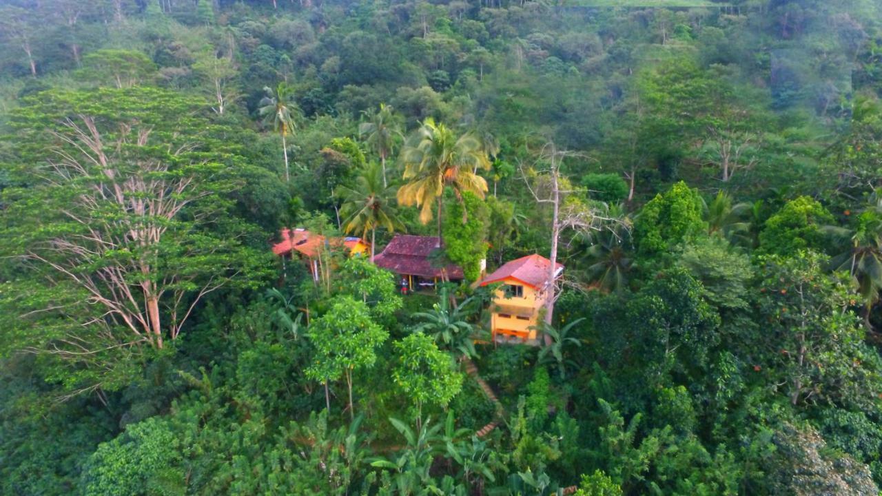 Natural Mystic Sanctuary Lodge *