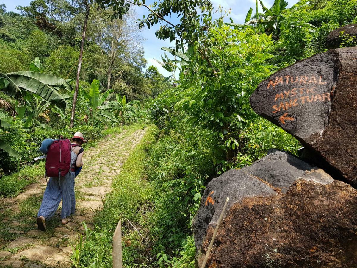 Natural Mystic Sanctuary *